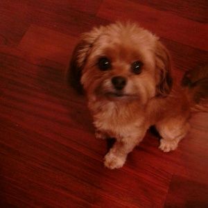 Meet your Posher, Beverly